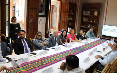 REVISAN REGISTRO ESTATAL DE PERITOS EN SAN LUIS POTOSÍ