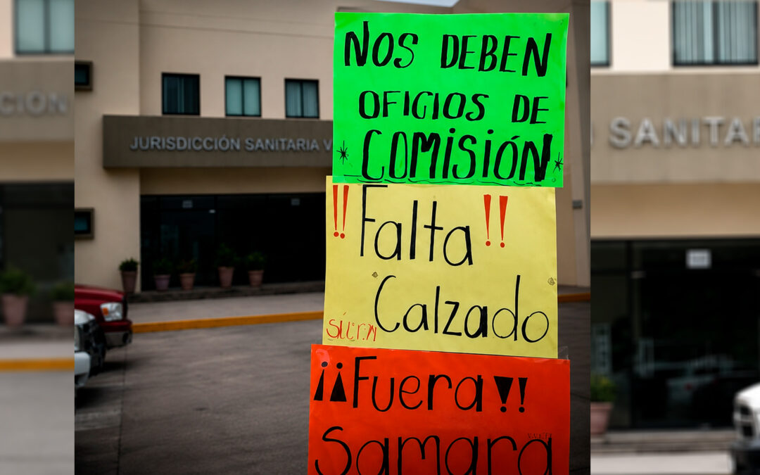 ¡OTRA VEZ VECTORES!… AHORA EXIGEN LA SALIDA DE LA COORDINADORA ESTATAL