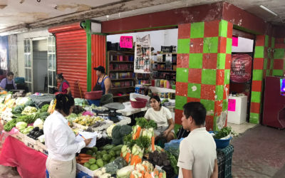 CENSO DE COMERCIANTES ALCANZA 90 POR CIENTO DE AVANCE EN CIUDAD VALLES