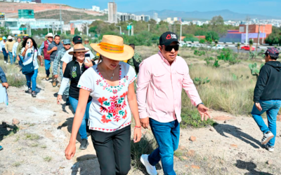 SAN LUIS POTOSÍ REALIZA REFORESTACIÓN EN SIERRA DE SAN MIGUELITO