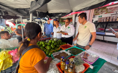 CIUDAD VALLES INICIA CENSO PARA ORDENAR COMERCIO EN MERCADOS