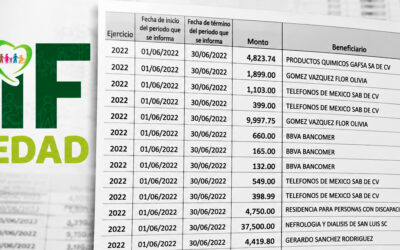 AÑOS DE OPACIDAD EN EL DIF DE SOLEDAD, EXHIBE INVESTIGACIÓN