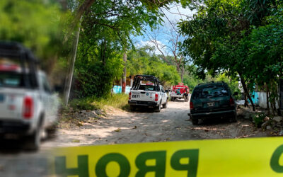 HIJO MATA A SU MADRE E INTENTA INCENDIAR LA VIVIENDA