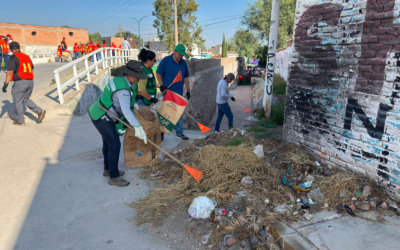 REFORESTAN CON 600 EJEMPLARES EN VILLA DE ARRIAGA
