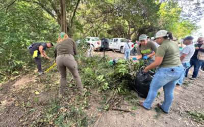 CIUDAD VALLES REGISTRA 44 DENUNCIAS AMBIENTALES DURANTE AGOSTO