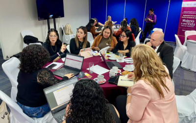 SAN LUIS POTOSÍ PARTICIPA EN ACTUALIZACIÓN DE REGLAMENTO PARA PROTEGER A MUJERES