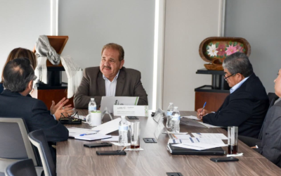 IMPLEMENTAN PLAN 10 DE 10 PARA INTEGRAR A MIPYMES EN CADENAS DE VALOR EN SAN LUIS POTOSÍ