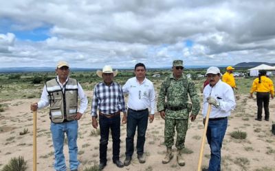 SAN LUIS POTOSÍ REGISTRA MÁS DE 12 MIL ÁRBOLES EN REFORESTACIÓN