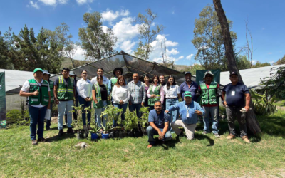 SAN LUIS POTOSÍ MANTENDRÁ REFORESTACIÓN EN SUS CUATRO REGIONES DURANTE 2026