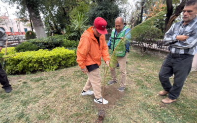 SEGAM REFORESTA BARRIO DE TLAXCALA EN SAN LUIS POTOSÍ CON MÁS DE 200 ÁRBOLES