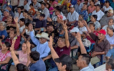 PUEBLOS NÁHUATL Y TÉNEK ACUSAN SIMULACIÓN EN CONSULTA FEDERAL