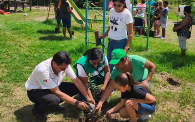 SAN LUIS POTOSÍ PRODUCE MÁS DE 100 MIL ÁRBOLES PARA REFORESTACIÓN