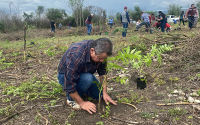 PLANTAN 2 MIL ÁRBOLES EN EL EJIDO LAGUNA DEL MANTE, EN CIUDAD VALLES