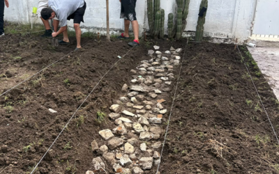 INPOJUVE INSTALA HUERTOS EN CLÍNICAS DE CIUDAD VALLES