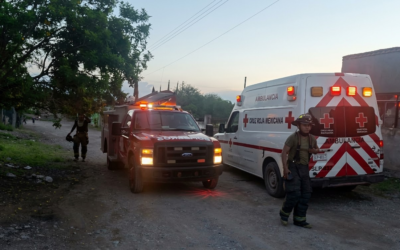 ABEJAS ATACAN A DOS PERSONAS EN RIOVERDE