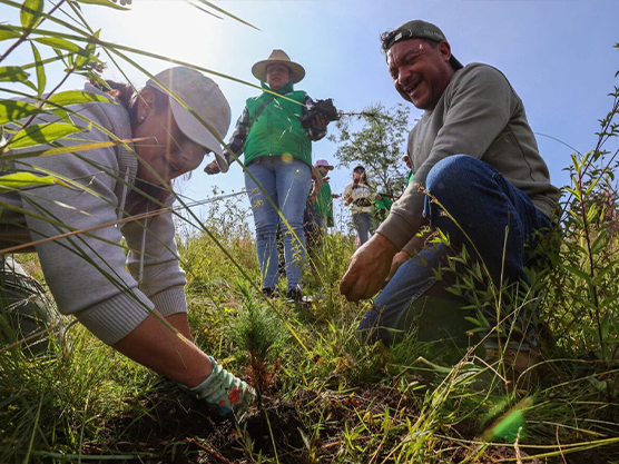 SAN LUIS POTOSÍ SE SUMA A PROYECTO DE RESTAURACIÓN AMBIENTAL